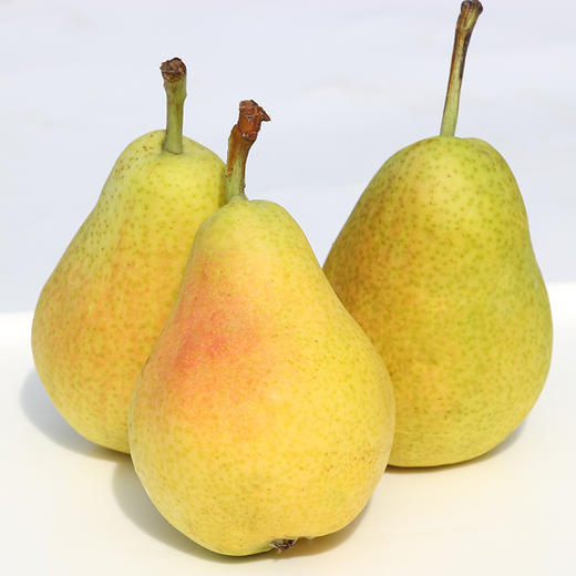 太婆梨2.8斤4.8斤 新鲜梨核小多汁营养丰富现摘现发新鲜水果 商品图4