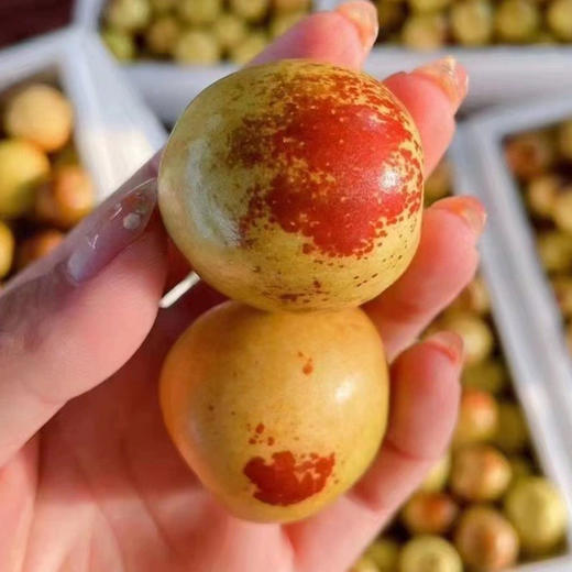 山东大沥  | 水果 商品图0