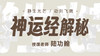 【内功四经系列】--第3部【神运经】解秘 自学课程 商品缩略图0