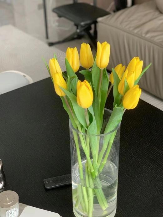 荷兰进口黄色单瓣郁金香10支 商品图0