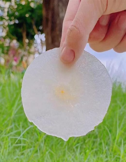 月露蜜梨 | 水果 商品图2