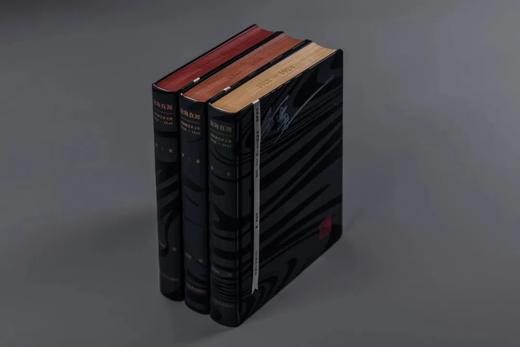 《沧海真源: 刘海粟艺术文集(1918-1948)》 (全三卷)——辽宁美术出版社 商品图2