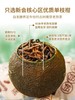 澜沧古茶2022年茶妈妈小青柑新会陈皮普洱茶熟茶柑普茶罐装250g 商品缩略图2
