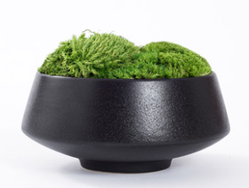 画乡壹号-盆栽1