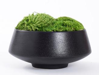 画乡壹号-盆栽1 商品图0