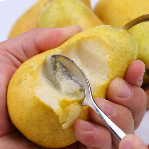 太婆梨2.8斤4.8斤 新鲜梨核小多汁营养丰富现摘现发新鲜水果 商品图2