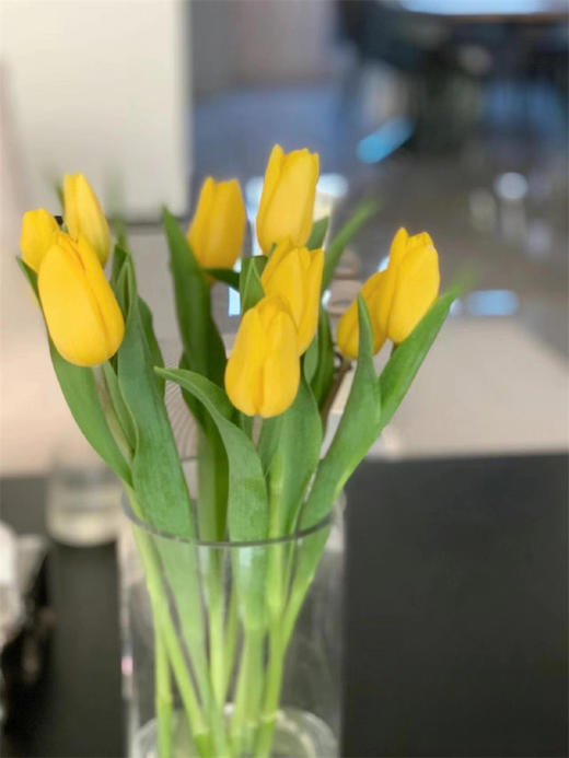 荷兰进口黄色单瓣郁金香10支 商品图2