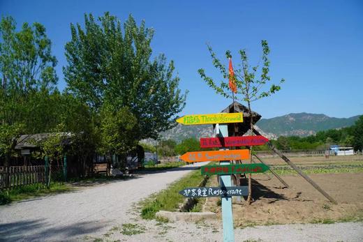 游园票 商品图3