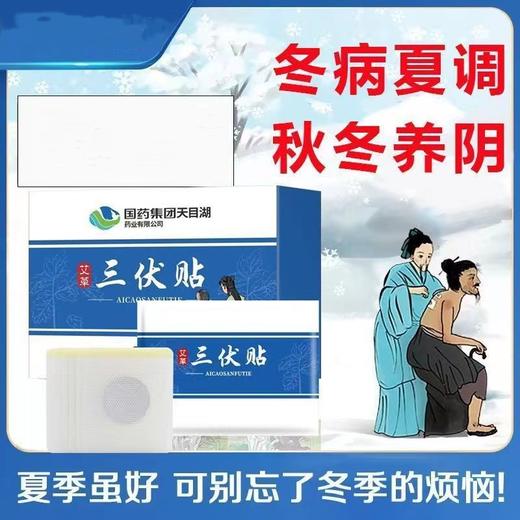 【买三送二！艾草三伏贴带穴位图】无纺布贴透气亲肤，粘贴牢固不易脱落，持续渗透，随时随地想贴就贴，全身可用，三伏贴穴位贴三九贴温灸贴 商品图0