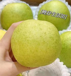 月露蜜梨 | 水果