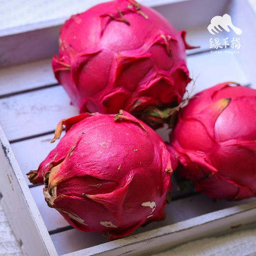 生态火龙果（中通或邮政，预计10月22日发货） | 合作生产* Ecological Pitaya | Coproduction 商品图3