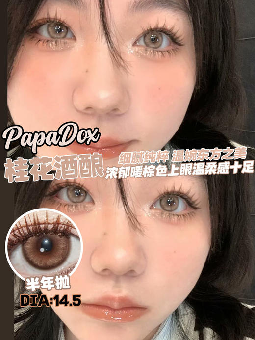 Papadox 桂花酒酿 半年抛 两片 14.5mm 参考着色14.0mm 基弧8.6 含水38% 韩国进口 商品图1