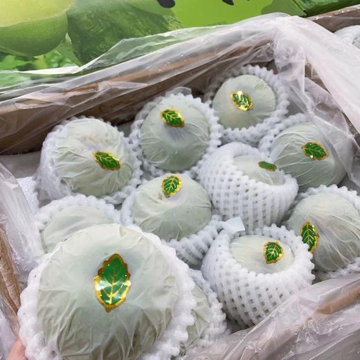 月露蜜梨 | 水果 商品图3