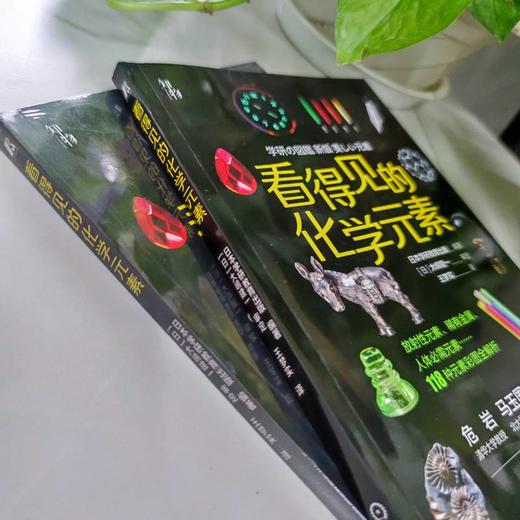 看得见的化学元素 商品图2