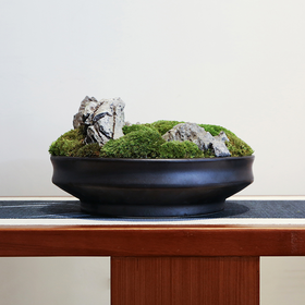 画乡壹号-盆栽2