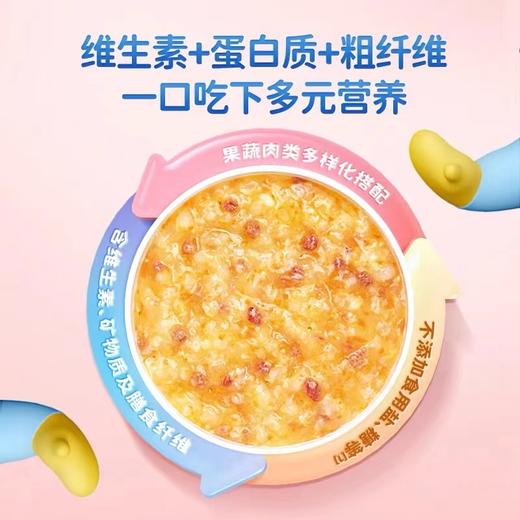 小鹿蓝蓝_婴幼儿营养粥】肉果蔬杂粮主食6个月宝宝辅食粥 商品图1