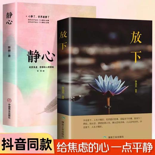 静心+放下全2册正版书籍人生没有什么不可以放下静修心乐观接纳自己爱上生命的不完美我不能放下的一切心理学青春励志畅销书心里学 商品图0