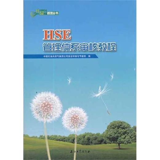 HSE管理体系审核教程 商品图0