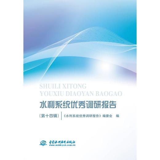 水利系统优秀调研报告 商品图0