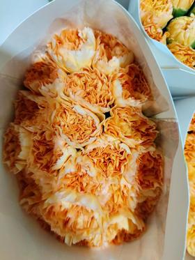 单头康乃馨 | 黄金海岸