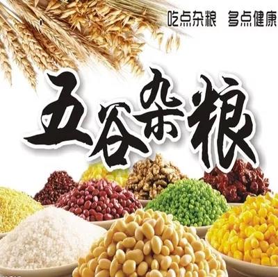 有机五谷杂粮套餐 商品图0