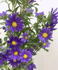 【希望】迷你菊  紫色 若干枝/扎 商品缩略图1