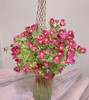 【希望】迷你菊  玫红色  若干枝/扎 商品缩略图2