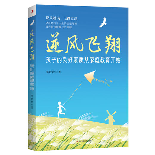 逆风飞翔 孩子的良好素质从家庭教育开始 商品图0