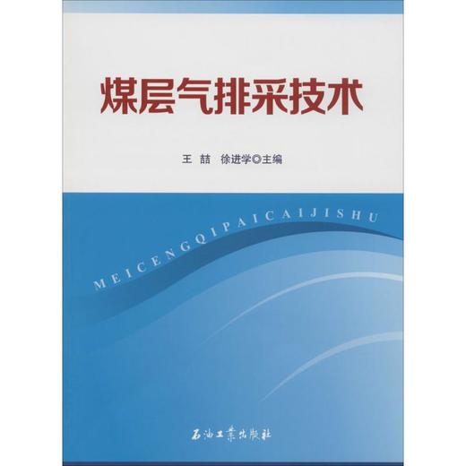 煤层气排采技术 商品图0