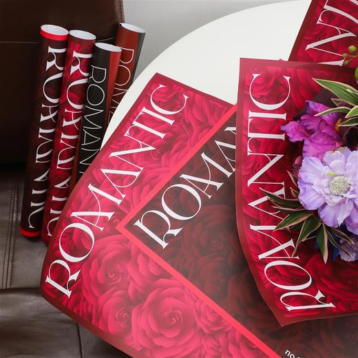 *浪漫骑士包装纸（10张/包） 商品图0