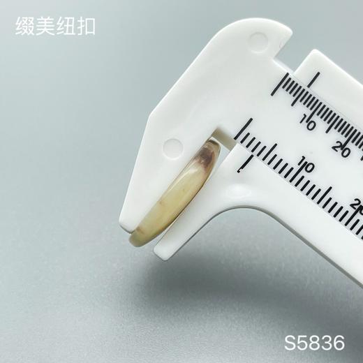 S5836(整包购买) 商品图5