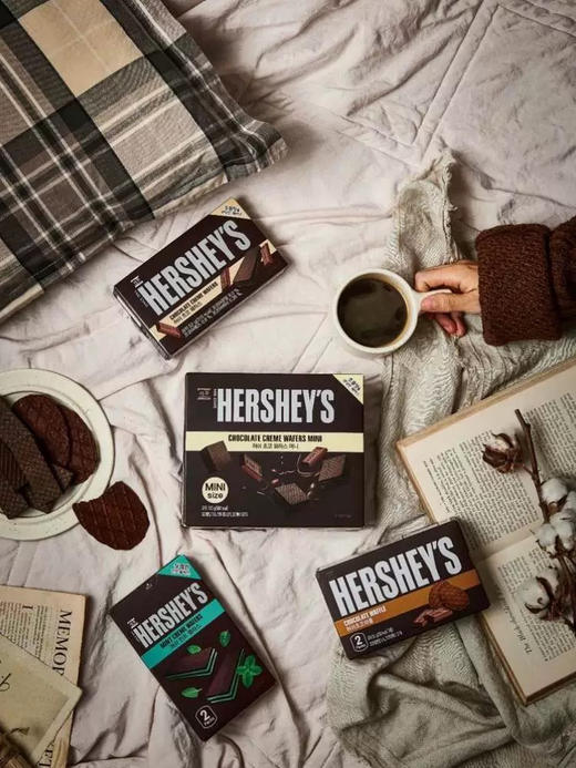 好时迷你威化巧克力味100g 商品图3