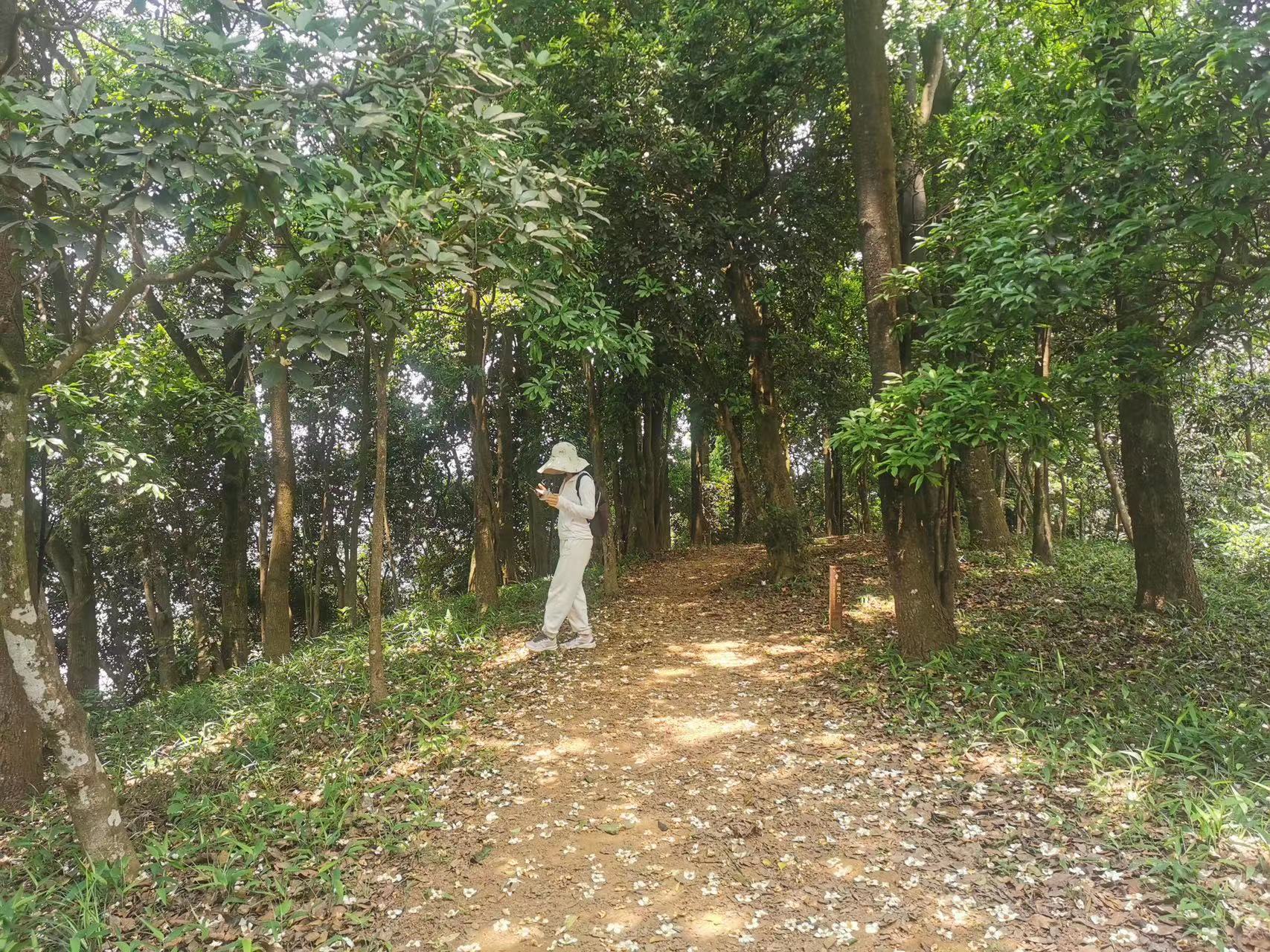 【泊寓户外】6月23日梅林后山徒步