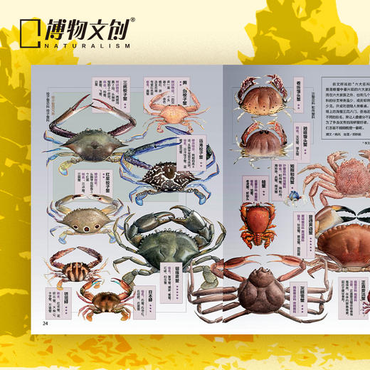 博物增刊 美味博物学  美食专辑  身边花草图鉴 博物君式科普 商品图1