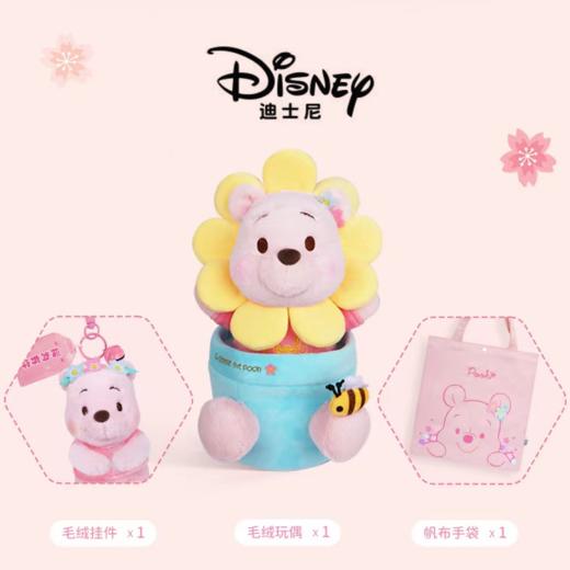 迪士尼正版噗噗维尼熊公仔草莓熊毕业生日礼物送闺蜜女情人节礼盒 商品图4