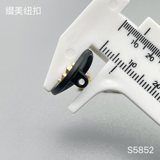 S5852(整包购买) 商品图3