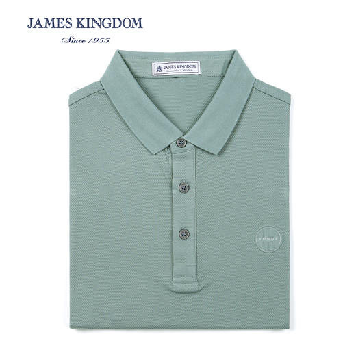 占姆士男士休闲翻领棉质短袖POLO衫  蓝色&绿色&紫色 商品图3