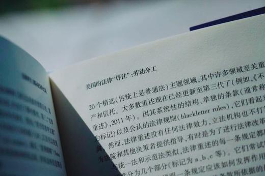 《中国民法典评注 · 评注研究（第1部）——法律评注 : 国际视角的比较》丨赠讲座 商品图9