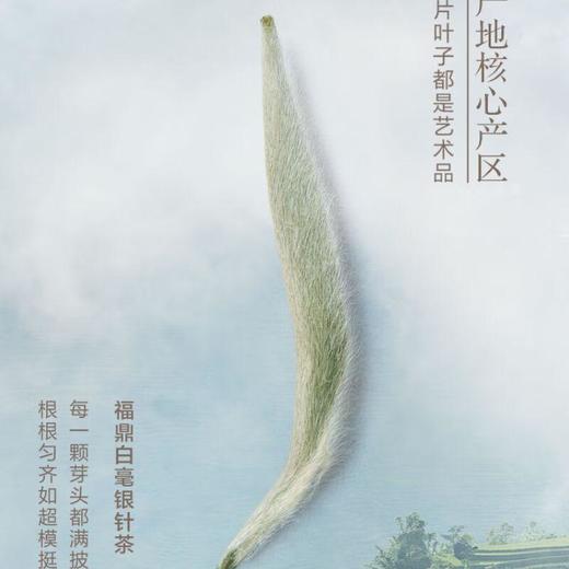 小罐茶君子系列冰岛普洱马头岩肉桂白毫银针组合装/112克 商品图3