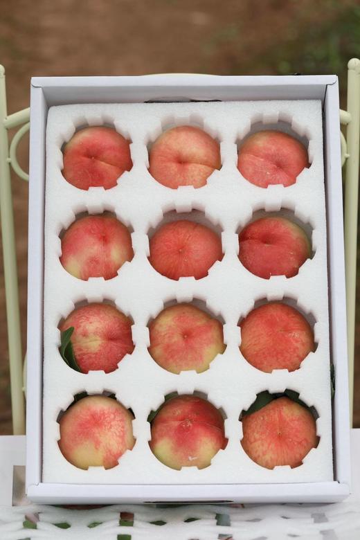 活动-正宗龙泉驿-晚湖景水蜜桃🍑  核心产区 商品图7