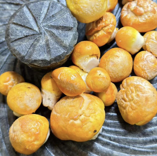 石渠 野生小白菌 商品图1