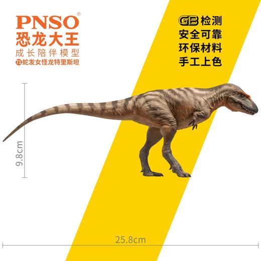 PNSO蛇发女怪龙特里斯坦恐龙大王成长陪伴模型71 商品图2