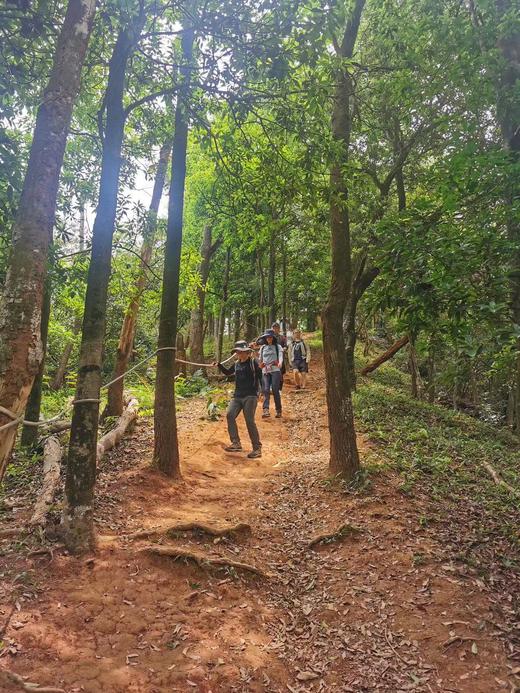 【泊寓户外】6月23日梅林后山徒步 商品图2