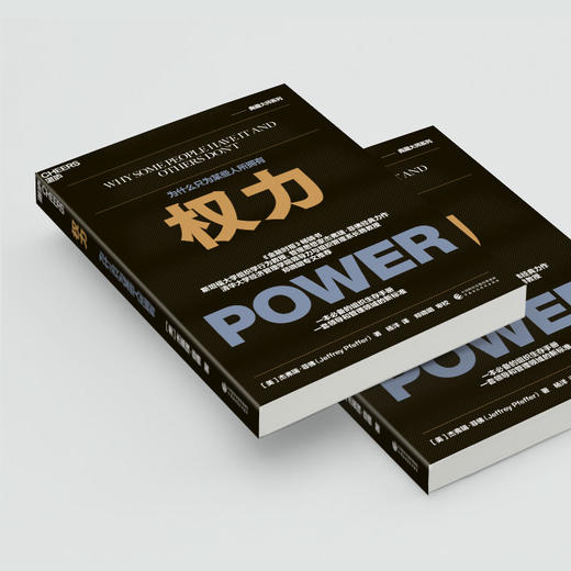 权力 商品图2