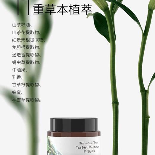 自然雅舍茶树籽面霜50ml 商品图1