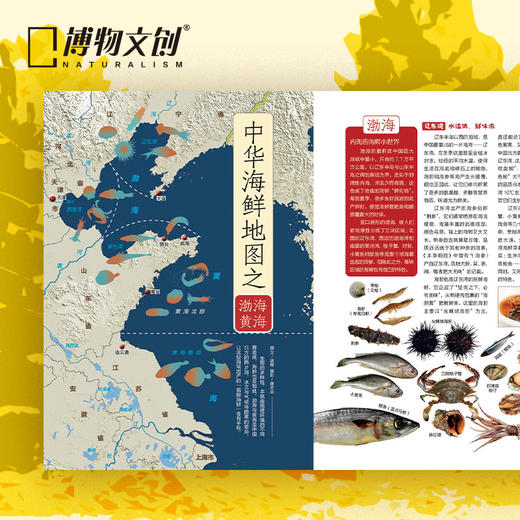 博物增刊 美味博物学  美食专辑  身边花草图鉴 博物君式科普 商品图2