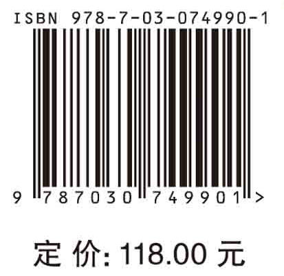 非高斯强非线性系统滤波器设计理论及其应用 商品图2