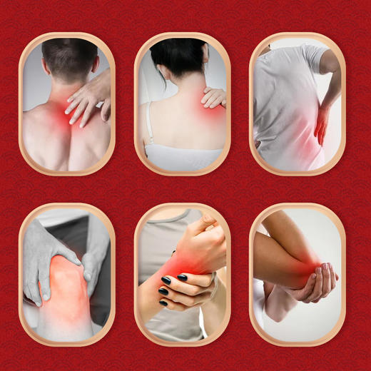 【下单就送！】广药白云山星群三伏贴 艾草温灸贴穴位贴三伏天黑膏贴 三伏天艾灸贴 商品图3