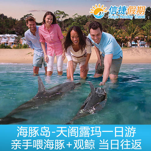 布里斯班天阁露玛 海豚岛亲手喂海豚+观鲸鱼一日游 商品图1