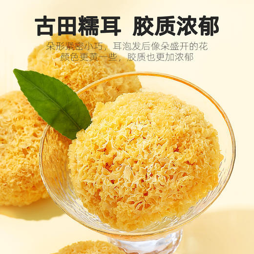 【杞里香银耳】新货大朵白木耳雪耳糯耳丑耳 福建古田银耳干货238g可搭配银耳莲子 商品图4